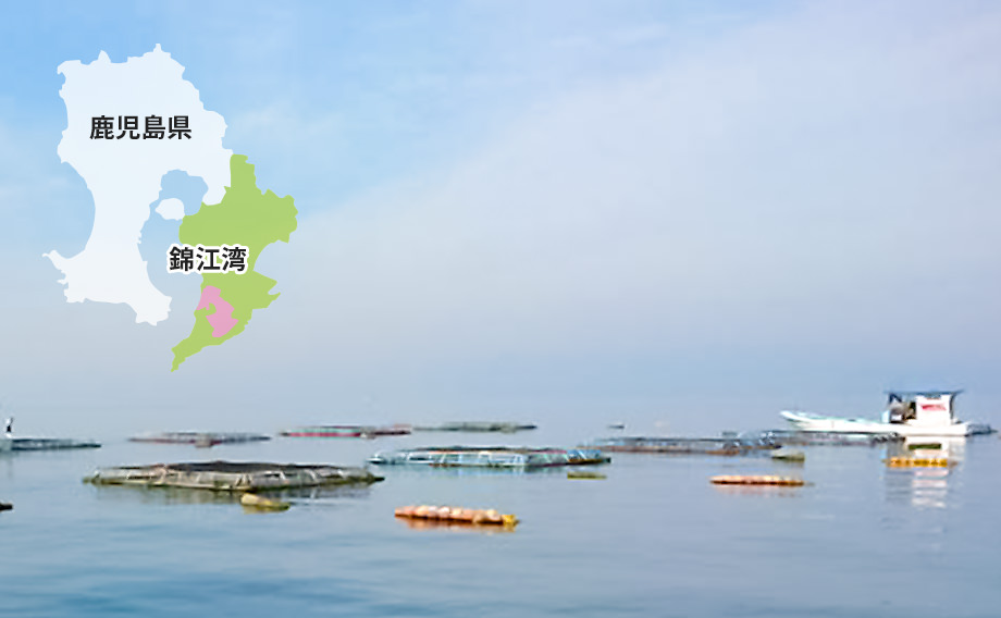 鹿児島県 錦江湾