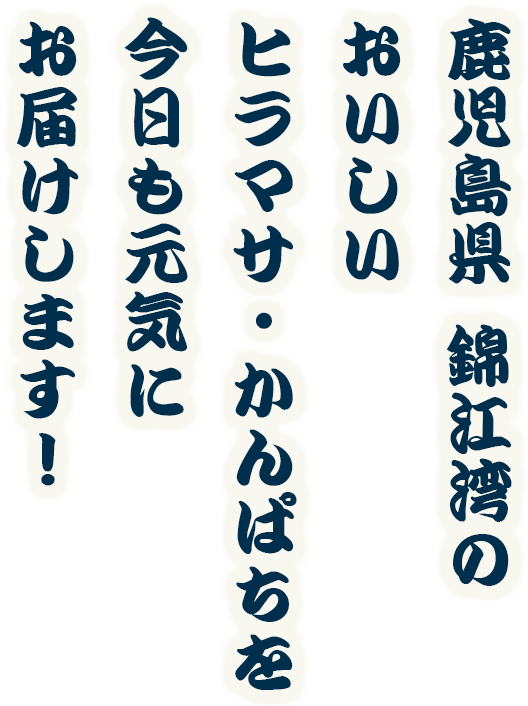 鹿児島県錦江湾のおいしいヒラマサ・かんぱちを今日も元気にお届けします！